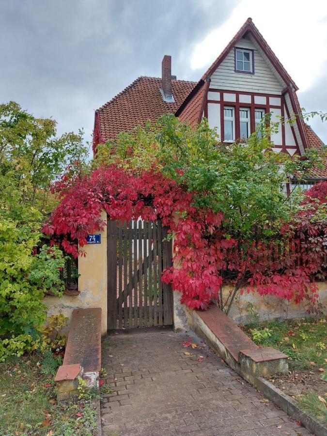 Stilvolles Ferienhaus Artdeco Wernigerode Bagian luar foto