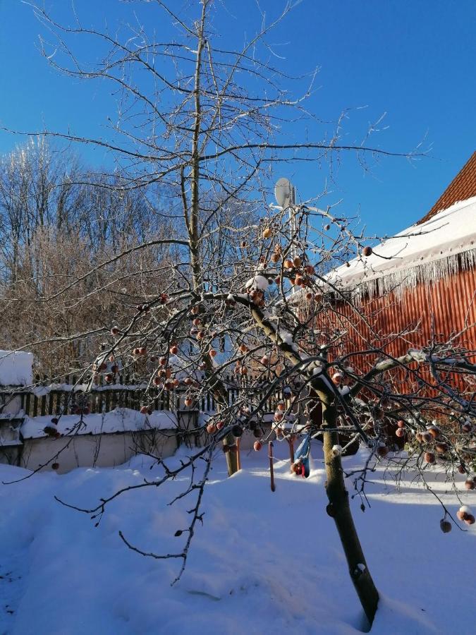 Stilvolles Ferienhaus Artdeco Wernigerode Bagian luar foto